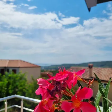 Ines Skofije -near Koper&trieste * Zgornje Skofije