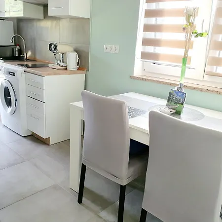 Apartment Ines Zgornje Skofije